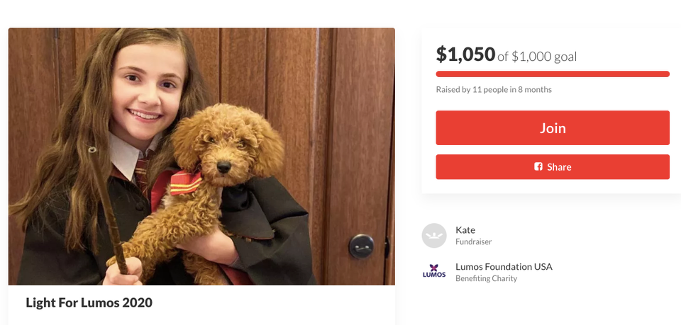 A screenshot from Kate's fundraising page 